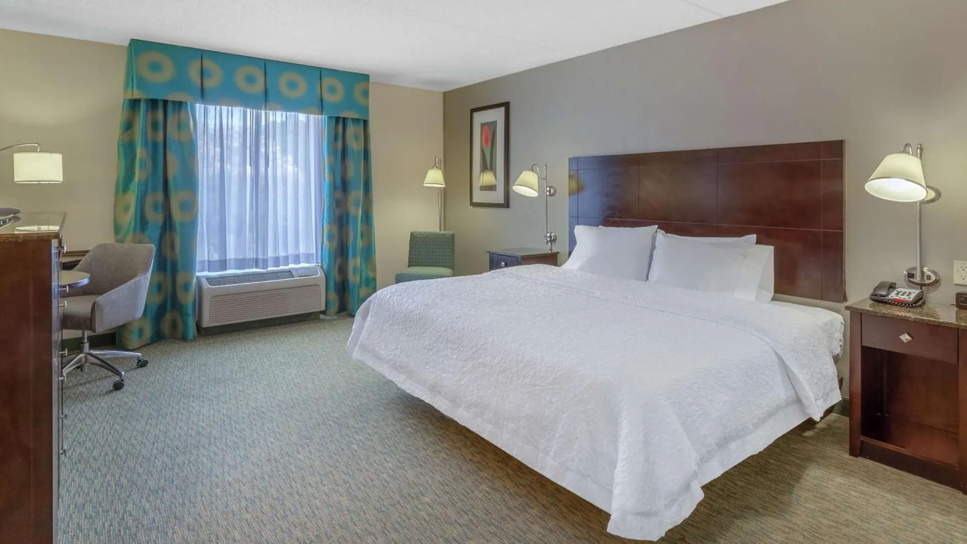 Hampton Inn Richmond - South