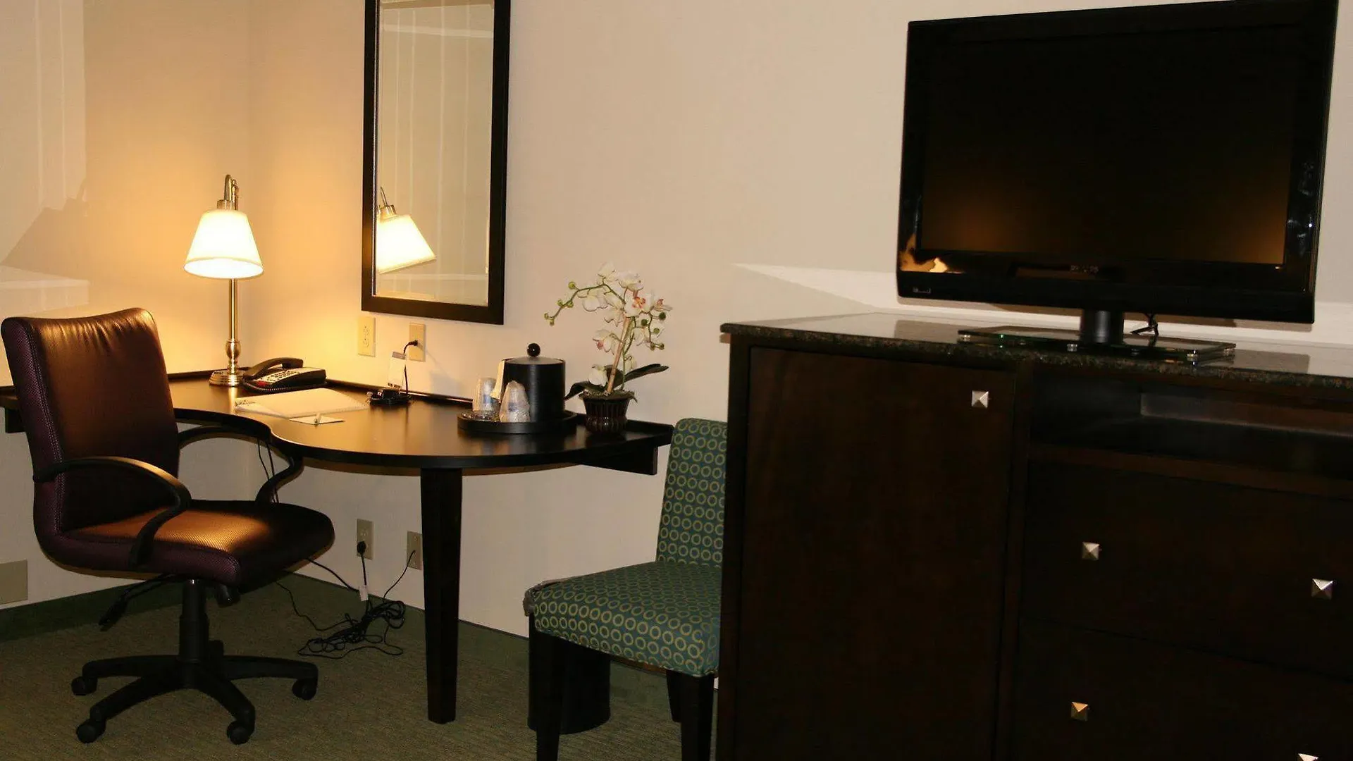 Hotel Hampton Inn Richmond - South