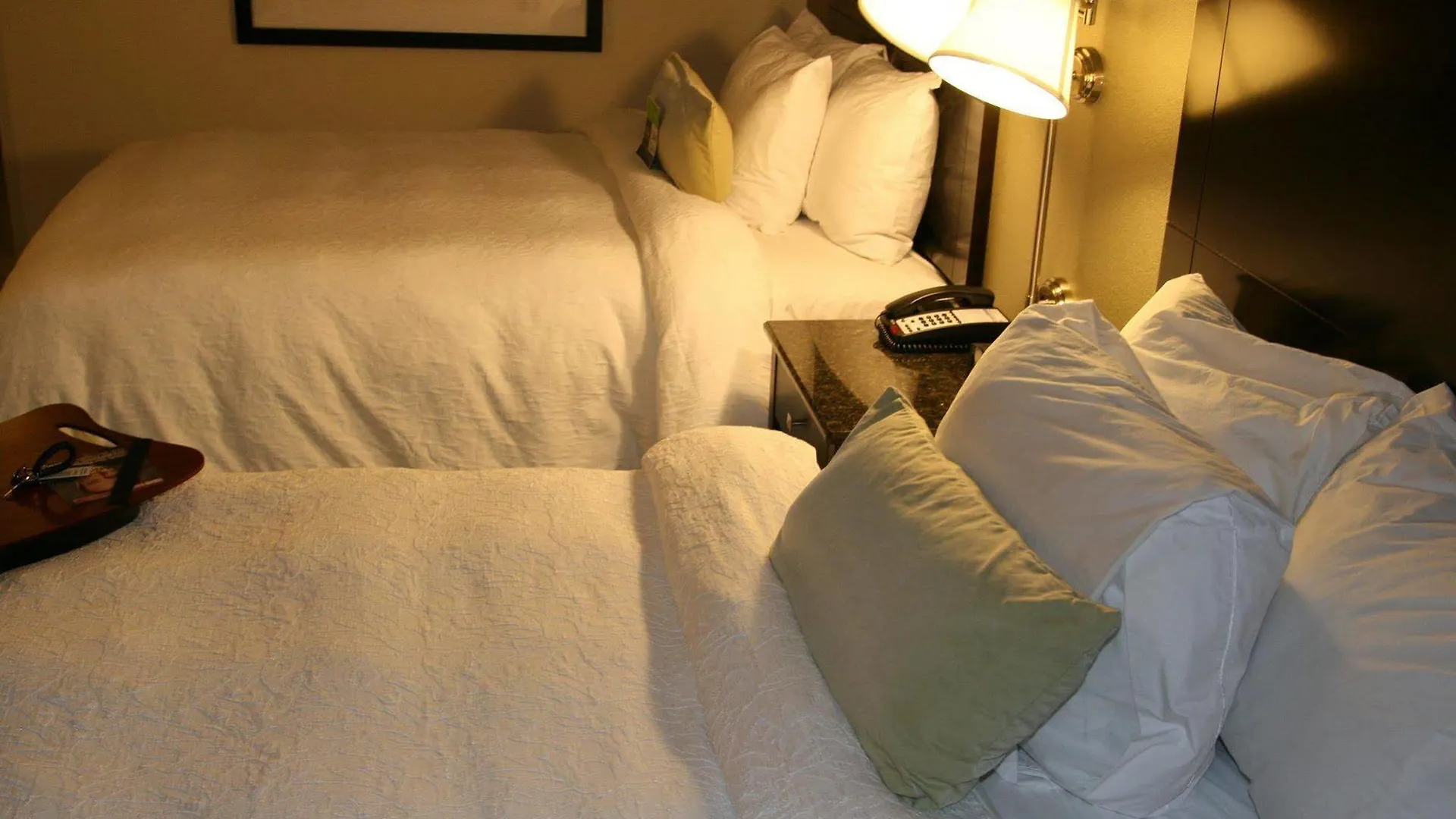 Hampton Inn Richmond - South Hotel